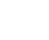 Workplace Investigations